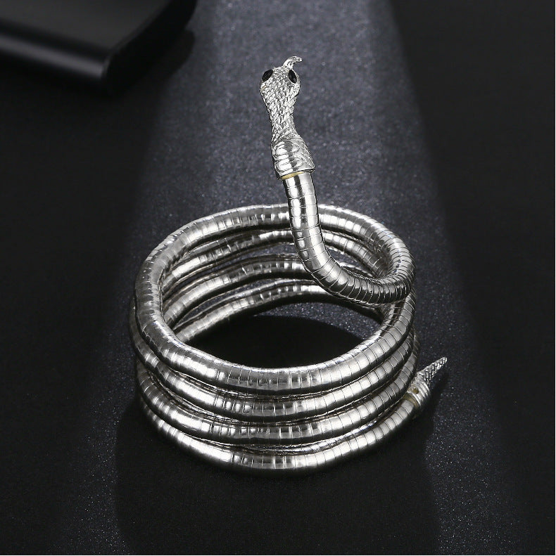 Snake Bone Chain Men And Women Models Dark Opening Europe And The United States Cold Random Shape Winding Snake Design Sense Of Necklace Collar