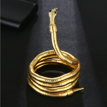 Snake Bone Chain Men And Women Models Dark Opening Europe And The United States Cold Random Shape Winding Snake Design Sense Of Necklace Collar